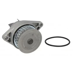Водна помпа 538 0031 10 Seat Skoda Vw