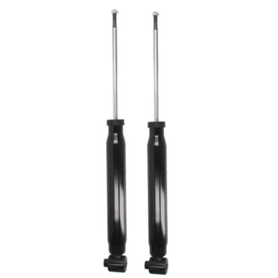Задни амортисьори AGW074MT Vw Skoda Audi