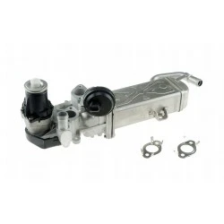 Радиатор EGR EGR-VW-007 Audi Seat Skoda Vw