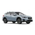 Xv 2017-